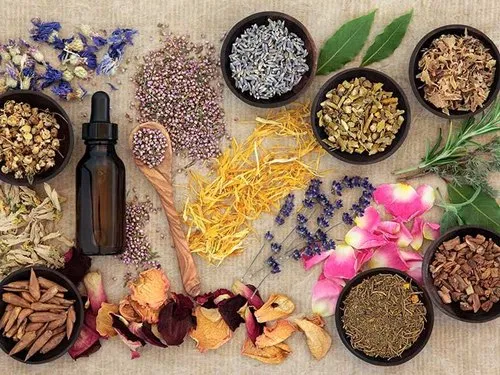 Ayurveda Medicinal Aromatic Plants Image